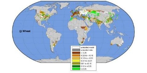 تغییرات آب و هوایی بر تولید جهانی مواد غذایی تاثیر می گذارد 