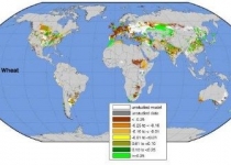 تغییرات آب و هوایی بر تولید جهانی مواد غذایی تاثیر می گذارد 