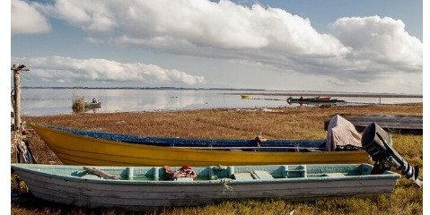 تیر خلاص جهل بر پیکر زخمی در حال فروپاشی تالاب انزلی