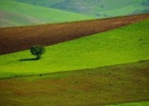 محیط زیست کردستان حامی تولید و اشتغال