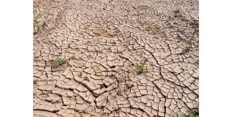 خشکسالی‌های شدید و تخلیه صدها روستای هند 