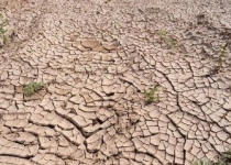 خشکسالی‌های شدید و تخلیه صدها روستای هند 