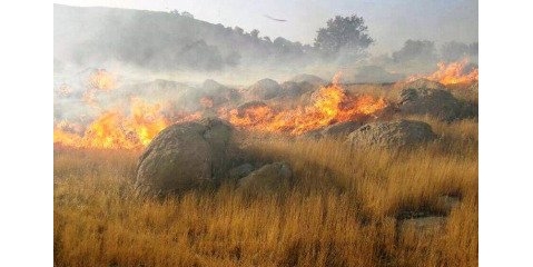 آتش سوزی تهدید جدی عرصه های طبیعی مازندران