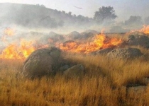 آتش سوزی تهدید جدی عرصه های طبیعی مازندران