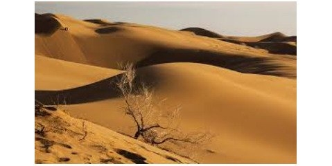 عدم جاده مناسب مانع رونق گردشگری پارک ملی کویر گرمسار