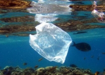 توافق گروه ۲۰ برای مقابله با انباشت پسماندهای پلاستیکی در اقیانوسها
