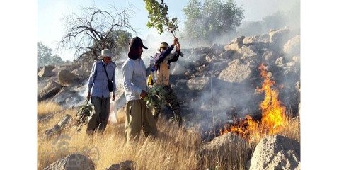 کمبود امکانات بر جان مهم ترین ذخیره‌گاه‌های طبیعی ایران آتش می‌افکند