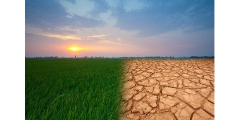 ادامه روند خشکسالی در کشور 