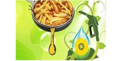  راه‌اندازی سایت پالایشگاه تولید گازوئیل زیستی با روغن پسماند خوراکی 