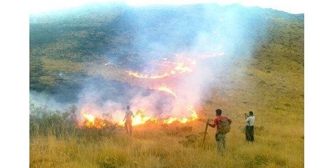 جلب مشارکت ترکمنستان در مهار  آتش سوزی های احتمالی مناطق مرزی