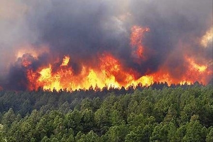 افزایش آمار 30 درصدی آتش‌سوزی جنگل‌ها نسبت به سال گذشته