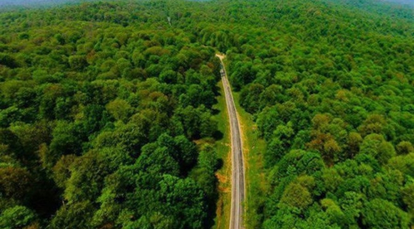 ثبت جهانی جنگل‌های هیرکانی فرصتی باارزش برای حفظ بیشتر آن