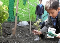 ساخت مدارس سبز با نگاه زیست محیطی
