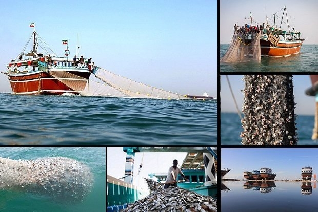 مصائب دریای جنوب؛از نابودی آبزیان تا انواع آلودگی‌ نفتی و غیرنفتی