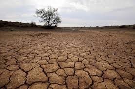 تنها 11 درصد از مساحت ایران دچار خشکسالی نشده است
