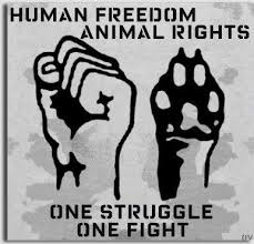 حقوق حیوانات در اسلام : خلاء کدهای قانونی درباره حقوق حیوانات