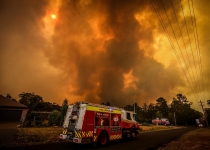بیش از 20 درصد از جنگل های استرالیا در آتش سوزی های اخیر سوختند
