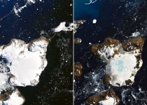 سرعت بالای ذوب یخ در یکی از جزایر قطب جنوب