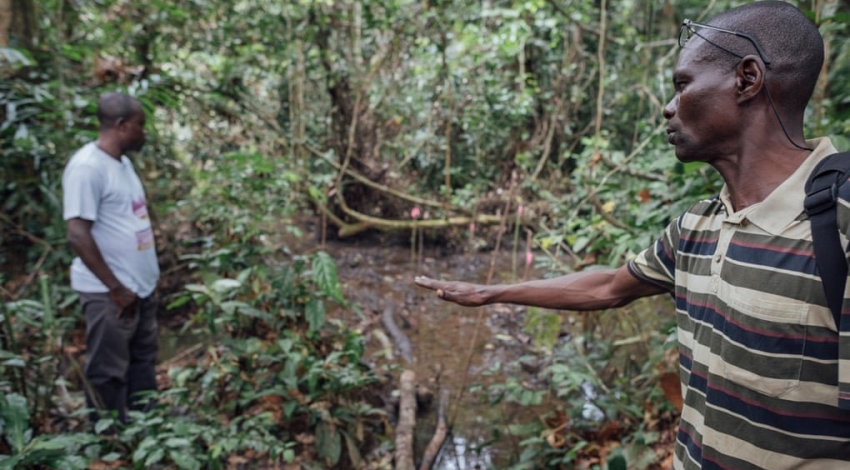 حفاری نفت در منطقه کنگو مقدار زیادی کربن منتشر می کند