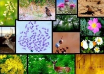  حمایت پایگاه سیویلیکا از همایش ملی تنوع زیستی 