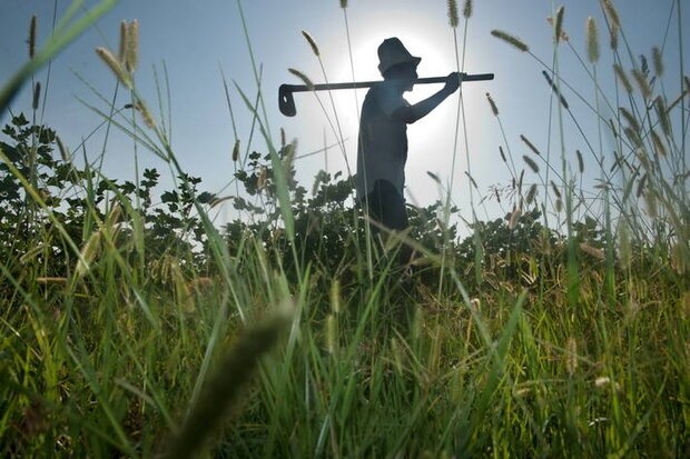 طراحی برنامه ای برای هشدار خشکسالی به کشاورزان در آفریقا
