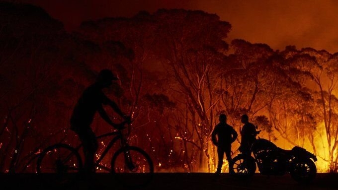 علت شش حریق اخیر در جنگل‌ها، روشن کردن آتش در طبیعت بوده است