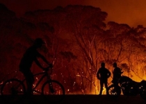 علت شش حریق اخیر در جنگل‌ها، روشن کردن آتش در طبیعت بوده است