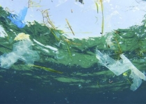 نابودی اکوسیستم های دریایی توسط زباله و فاضلاب
