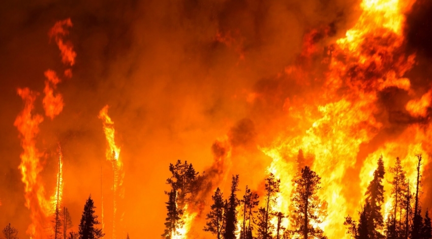 بازی های سیاسی دست پنهان آتش سوزی های جنگلی