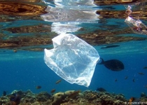 حقایقی تلخ درمورد سرنوشت کیسه های پلاستیکی