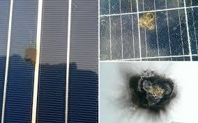 دلایل مخالفان ممنوعیت واردات پنل های خورشیدی