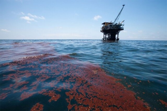 برآورد خسارت لکه های نفتی در دستورکار سازمان محیط زیست