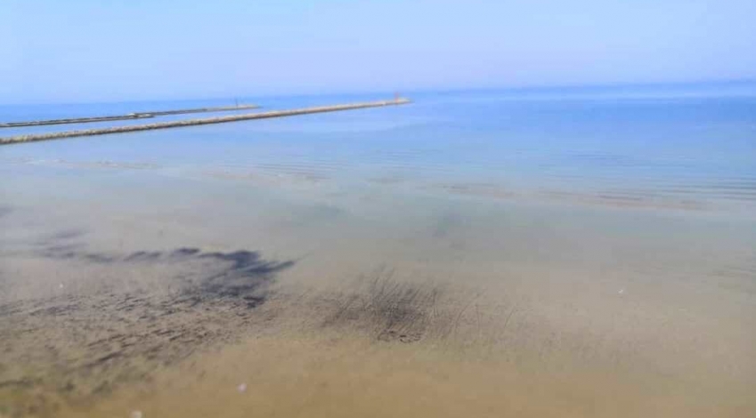 پایش هوایی سواحل گناوه برای رصد آلودگی نفتی