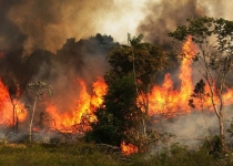 اراضی و تالاب میانکاله برای نهمین بار در سال جاری آتش گرفت