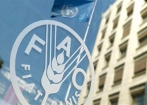 حمایت فائو از ایران برای تقویت تأمین مالی اقدامات اقلیمی
