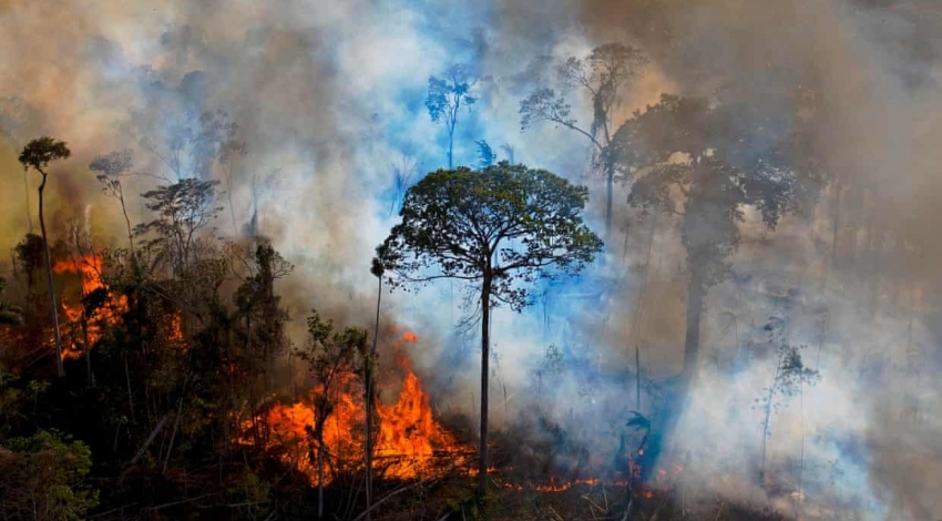 افزایش انتشار کربن در برزیل به علت تخریب جنگل های آمازون 