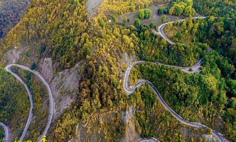 شناسنامه توسکستان؛ بام گلستان