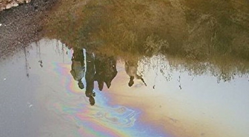 درنگی بر پیامدهای آلودگی نفتی در میانکوه اردل