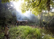 ماهواره ها چگونه جنگل زدایی را در آفریقا متوقف می کنند