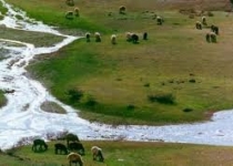 راه اندازی ۱۰۵۰ شعبه در محاکم و دادسراها برای حفظ حقوق بیت‌المال