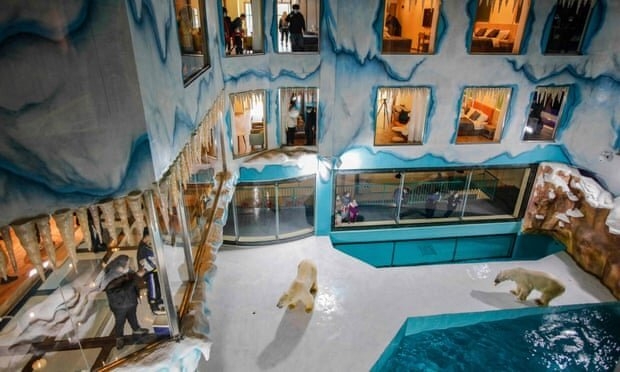  انتقاد به ساخت هتلی با چشم‌انداز خرس‌های قطبی