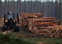 کشورهای ثروتمند چطور باعث جنگل زدایی در کشورهای فقیر شدند؟