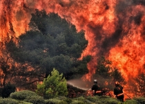 وجود خطر آتش‌سوزی در جنگل‌ها علیرغم کاهش بارش در سال جاری