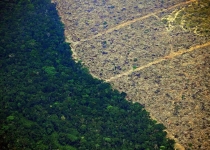 دولت برزیل به دنبال جذب یک میلیارد دلار کمک خارجی برای جنگل آمازون 