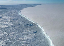 خطر سقوط یک سوم قفسه یخ قطب جنوب به دلیل افزایش دما