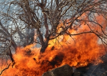 منابع طبیعی مازندران در آماده‌باش خطر آتش‌سوزی قرار گرفت