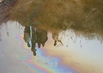 خسارت‌ آلودگی نفتی سرخون شهرستان اردل دوباره ارزیابی می‌شود