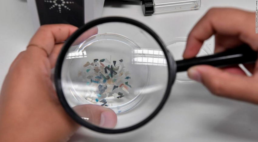  دانشمندان به کمک باکتری‌ها راهی برای شکار ریزپلاستیک‌ها یافتند