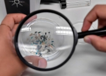  دانشمندان به کمک باکتری‌ها راهی برای شکار ریزپلاستیک‌ها یافتند