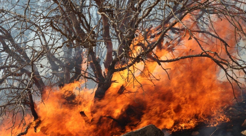  وقوع آتش‌سوزی در۲۵ هکتار از مناطق چهارگانه تهران طی یک ماه و نیم اخیر